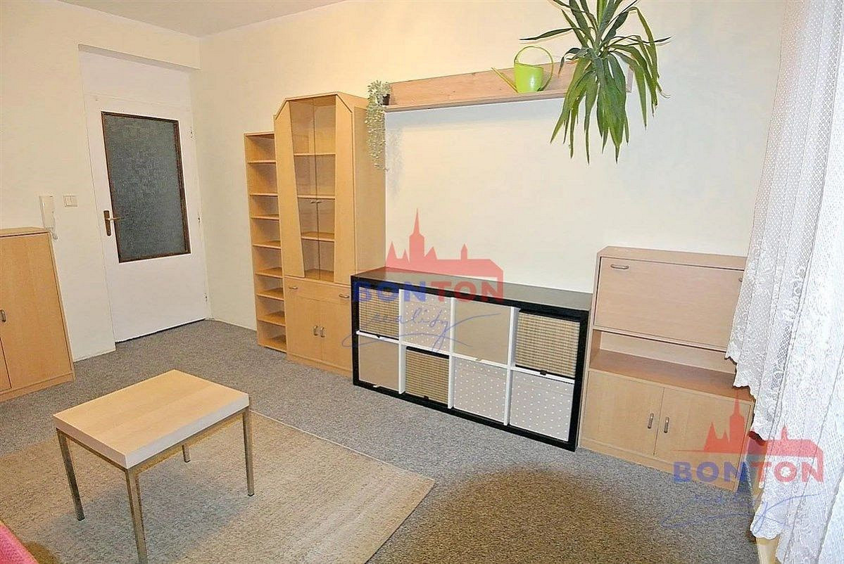 Pronájem pokoje 30 m² — photo 2