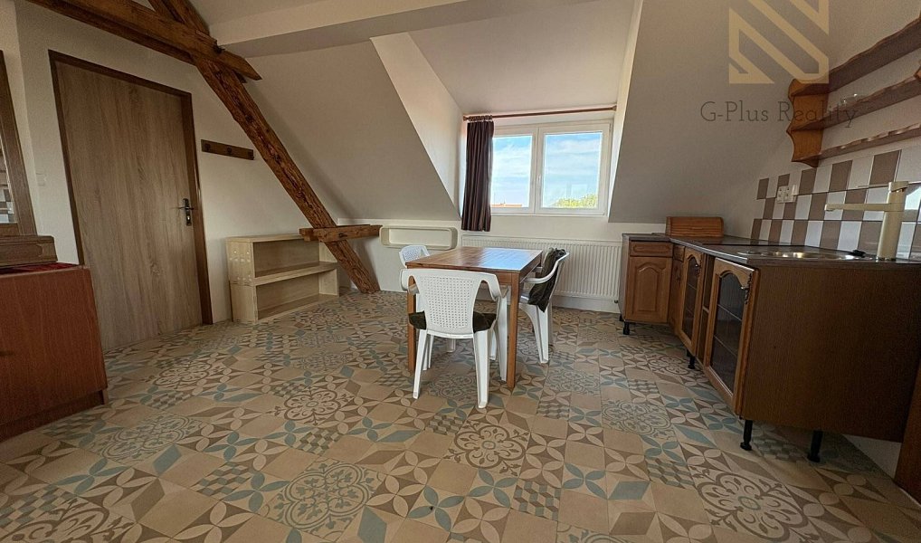 Pronájem bytu 1+kk 48 m², Černiv – náhled fotky 4