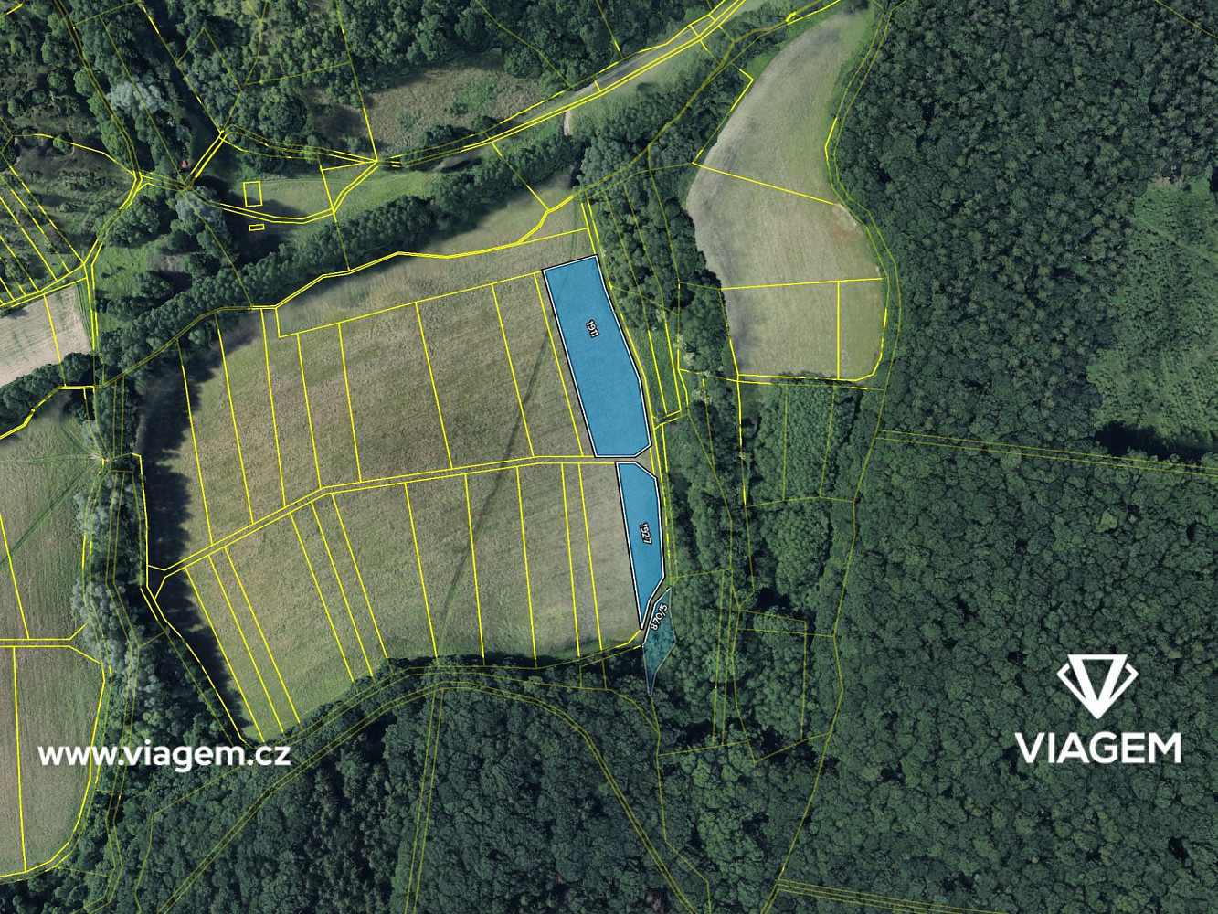 Prodej pole 2 554 m² – fotografie 4