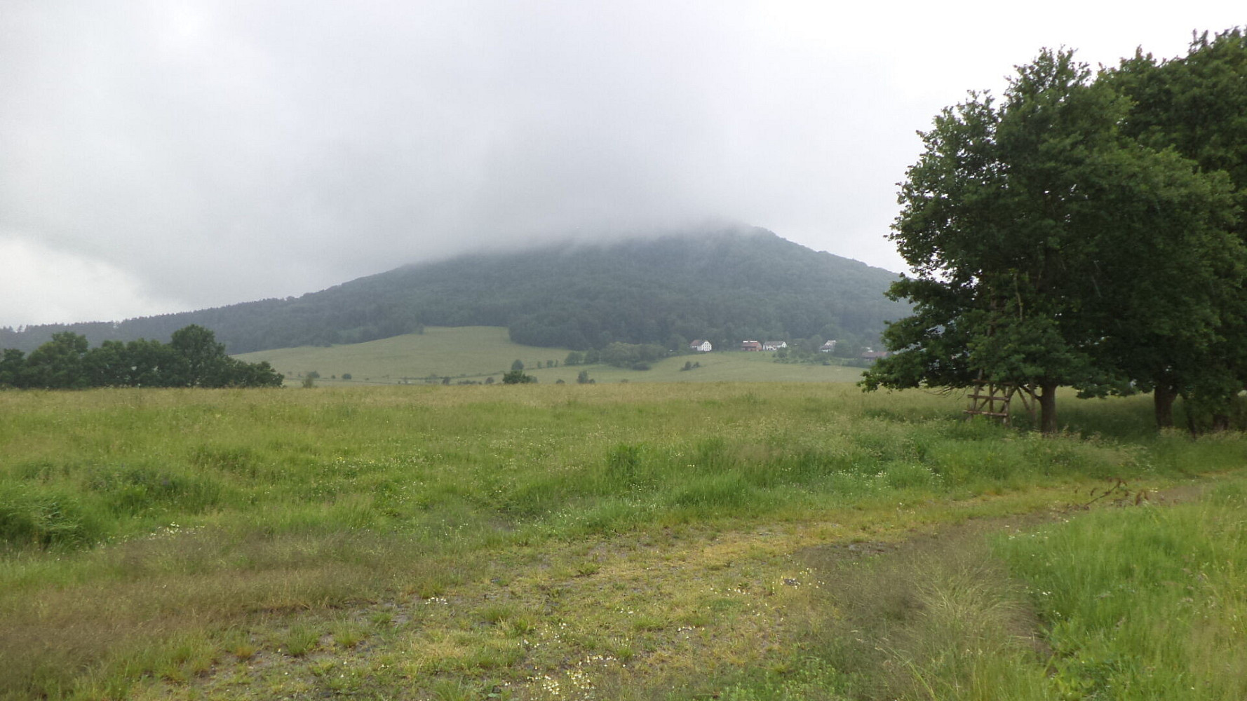 Prodej pole 4 685 m²