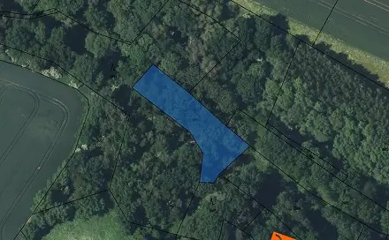 Prodej lesa 357 m², Mšeno, okres Mělník