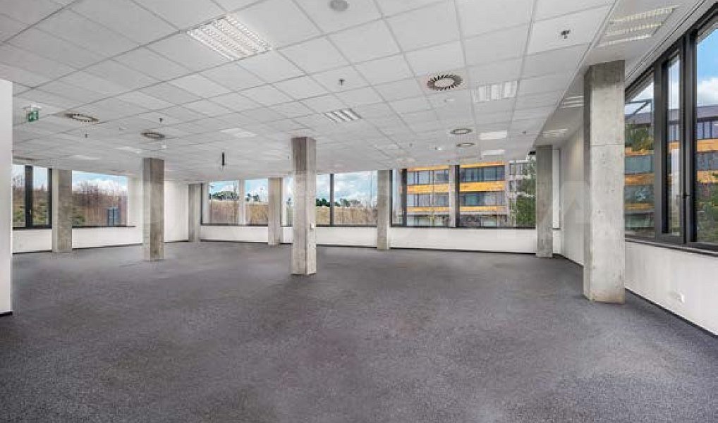 Pronájem kanceláře 1 870 m², Praha – náhled fotky 4