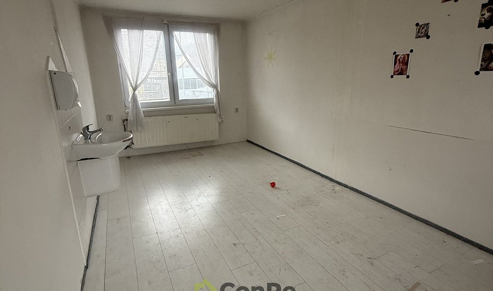 Prodej bytu 4+1 94 m², Doudleby nad Orlicí – náhled fotky 9