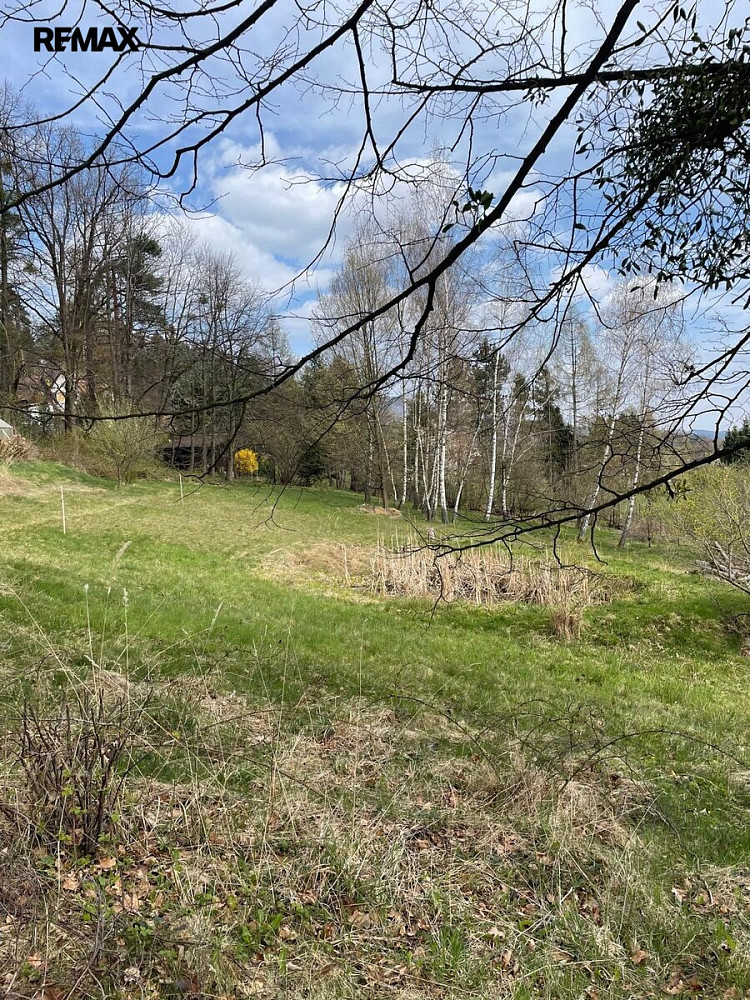 Prodej stavebního pozemku 1 901 m² – fotografie 3
