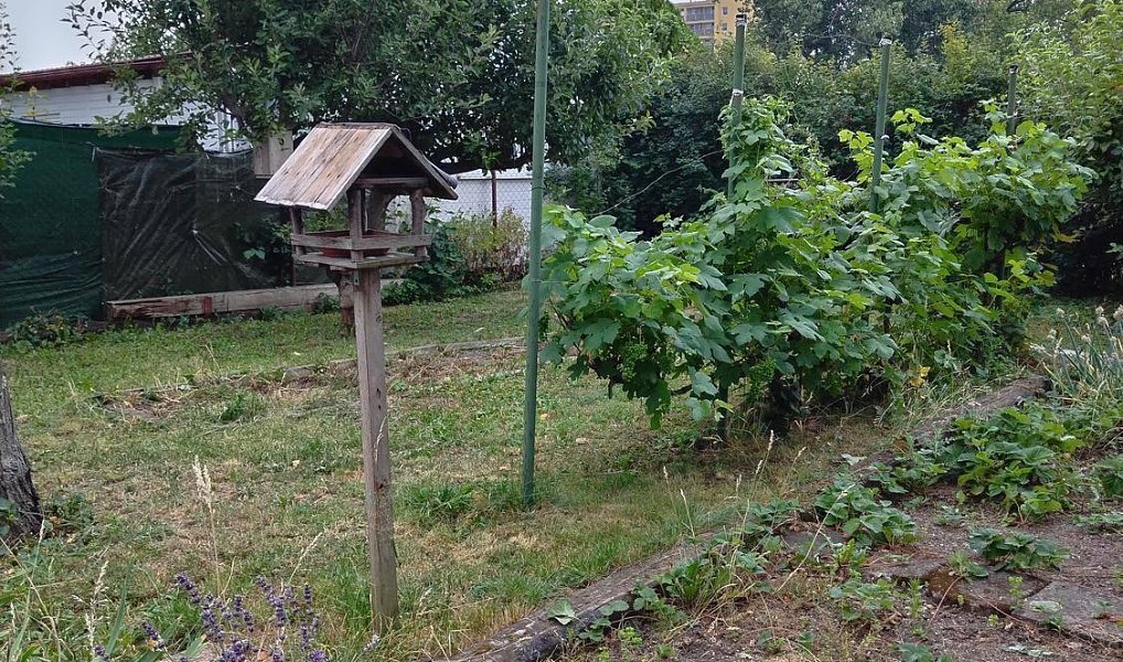 Prodej domu 20 m² s pozemkem 180 m², Kladno – náhled fotky 5