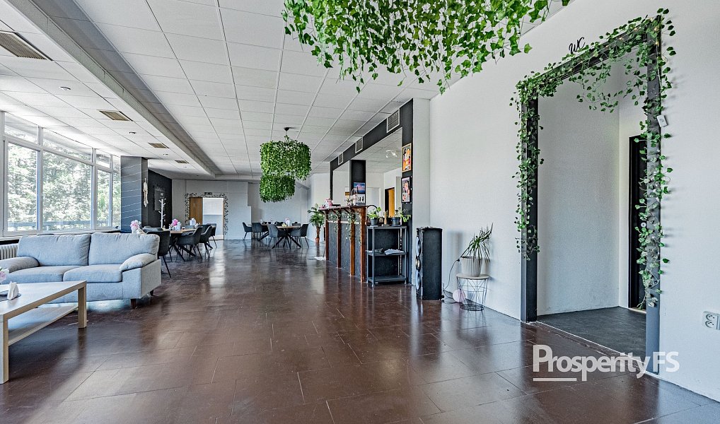 Prodej obchodních prostor 1 500 m², Český Těšín – náhled fotky 11
