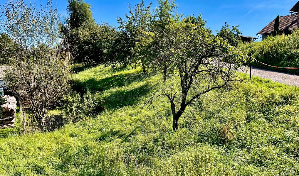 Prodej zahrady 491 m², Petrovice – náhled fotky 4