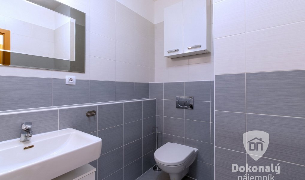 Pronájem bytu 2+kk 50 m², Praha – náhled fotky 10
