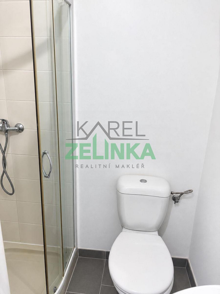 Pronájem bytu 1+1 40 m² – fotografie 4