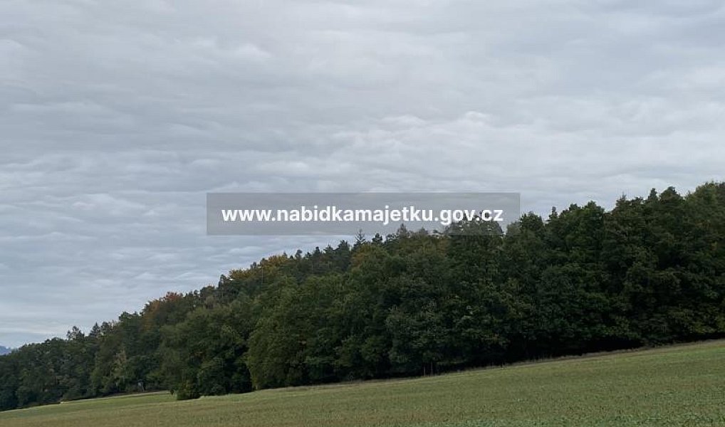 Prodej lesa, 507 m², Šumperk, Sudkov