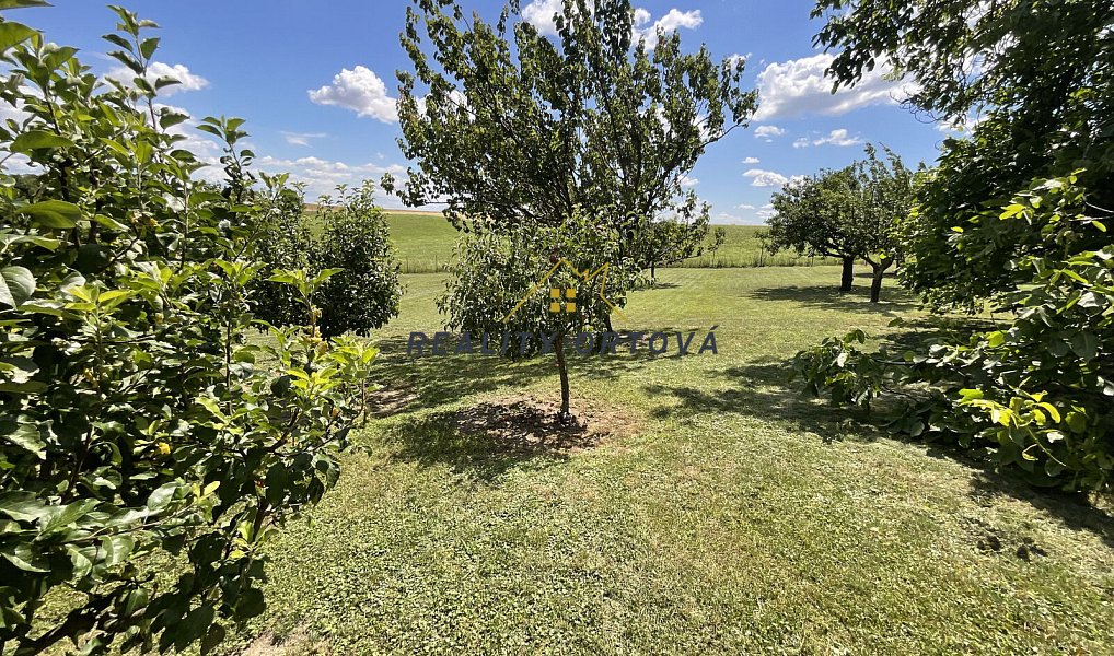 Prodej domu 166 m² s pozemkem 2 688 m², Třebnouševes – náhled fotky 16