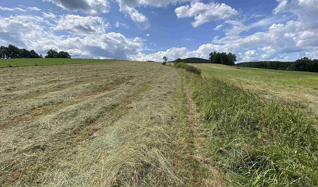 Prodej pole 55 481 m², Lhenice – náhled fotky 16