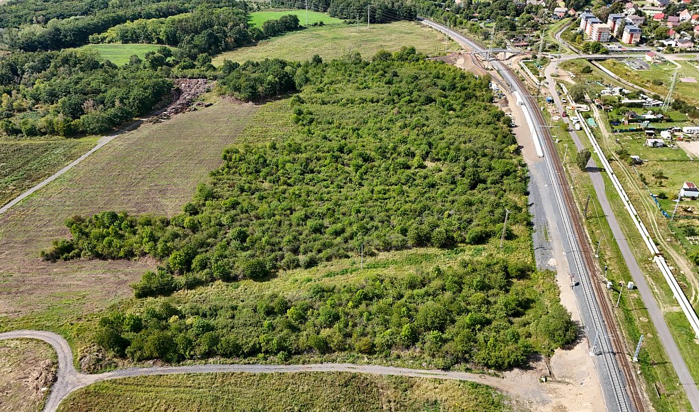 Prodej lesa, 13802 m², Chomutov, Málkov