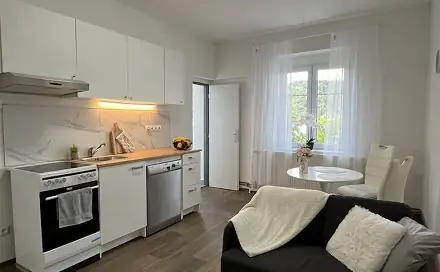 Prodej bytu 2+kk 48 m², Purkyňova, Ústí nad Labem - Střekov