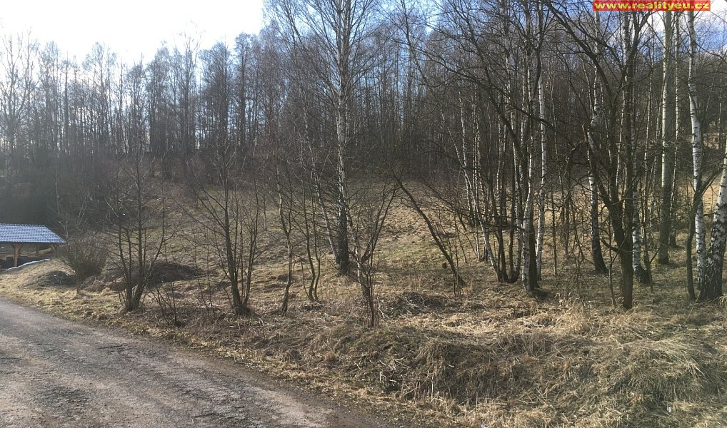 Prodej stavebního pozemku 1 400 m², Bernartice – náhled fotky 3