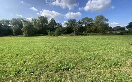 Prodej pole 6 291 m², Čížkov, okres Plzeň-Jih