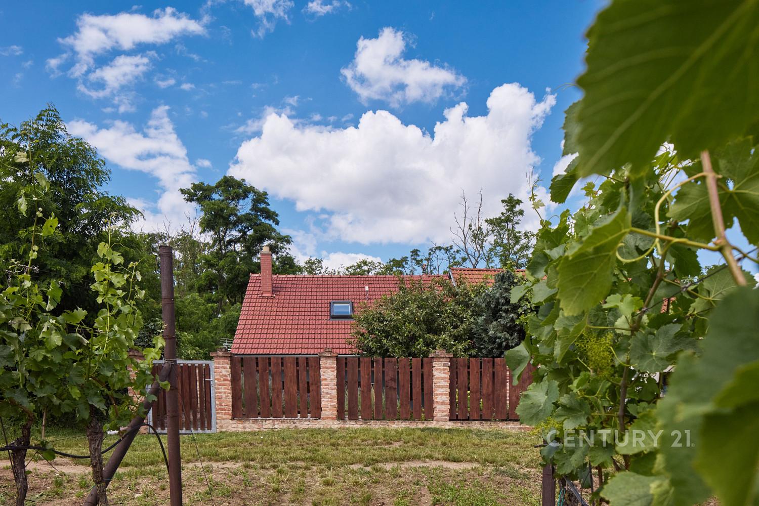 Prodej domu 75 m² s pozemkem 122 m² – fotografie 3