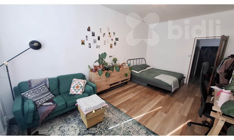 Pronájem bytu 1+1 49 m² — photo 3