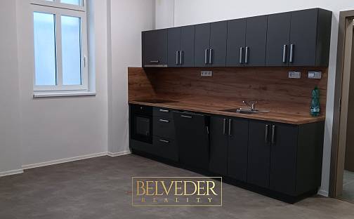 Pronájem bytu 3+kk 57 m², Pražská, Teplice - Prosetice