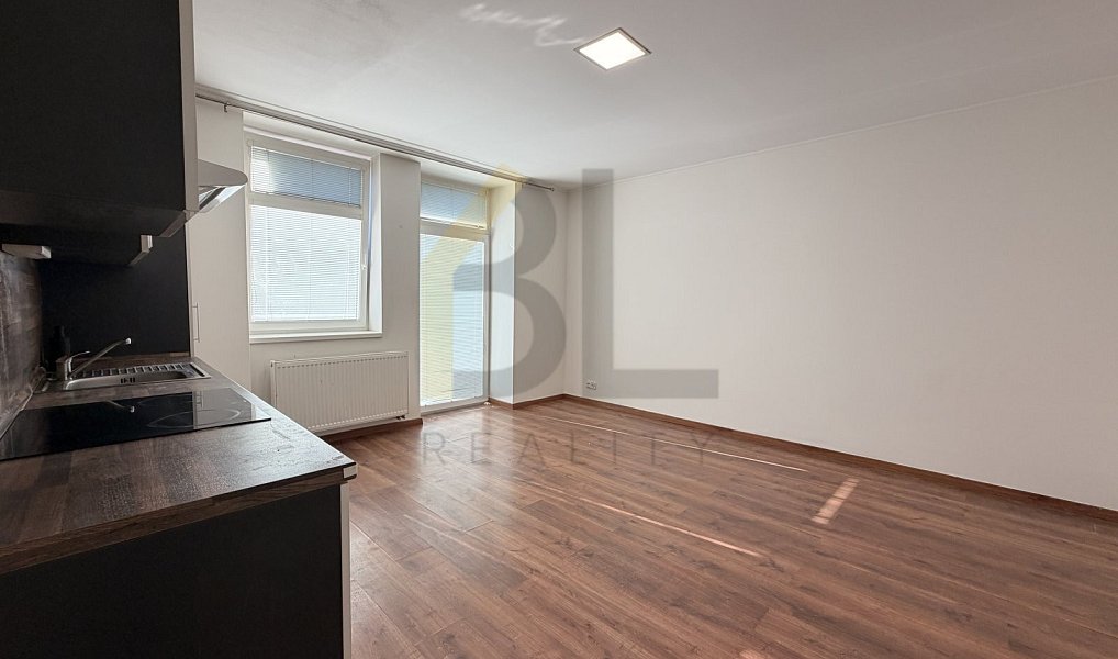 Pronájem bytu 1+kk 35 m², Hodonín – náhled fotky 3
