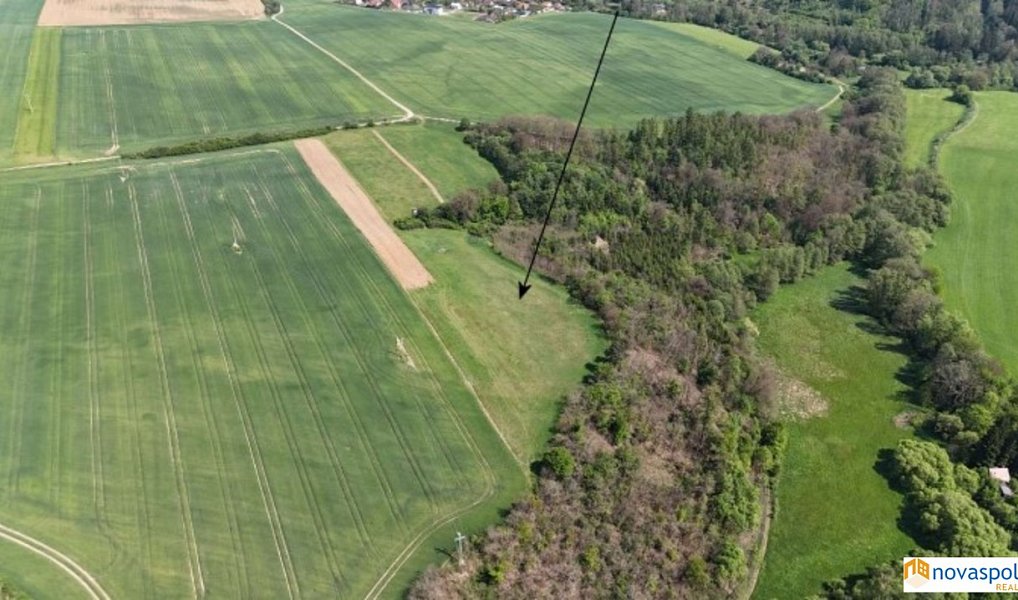 Prodej pole 10 736 m², Okrouhlo – náhled fotky 3