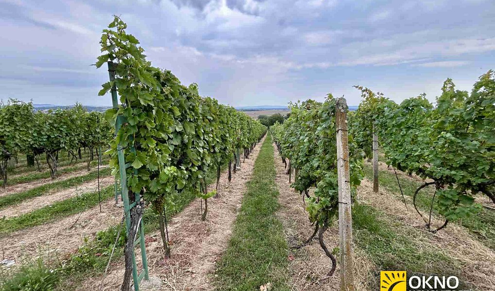 Prodej pole 9 892 m², Svatobořice-Mistřín – fotka 1 z 3