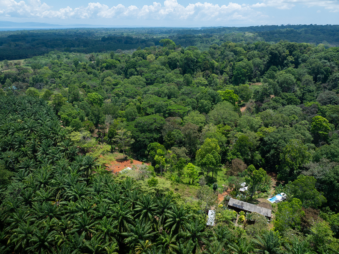 Prodej stavebního pozemku 5 000 m²