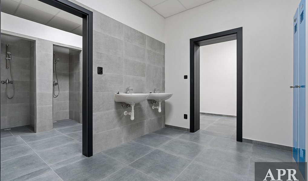 Pronájem skladovacích prostor 2 000 m², Veselí nad Moravou – náhled fotky 18