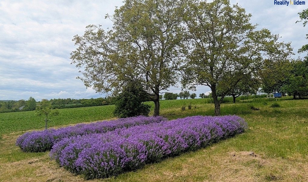 Prodej chaty/chalupy 35 m² s pozemkem 2 290 m², Želeč – náhled fotky 5