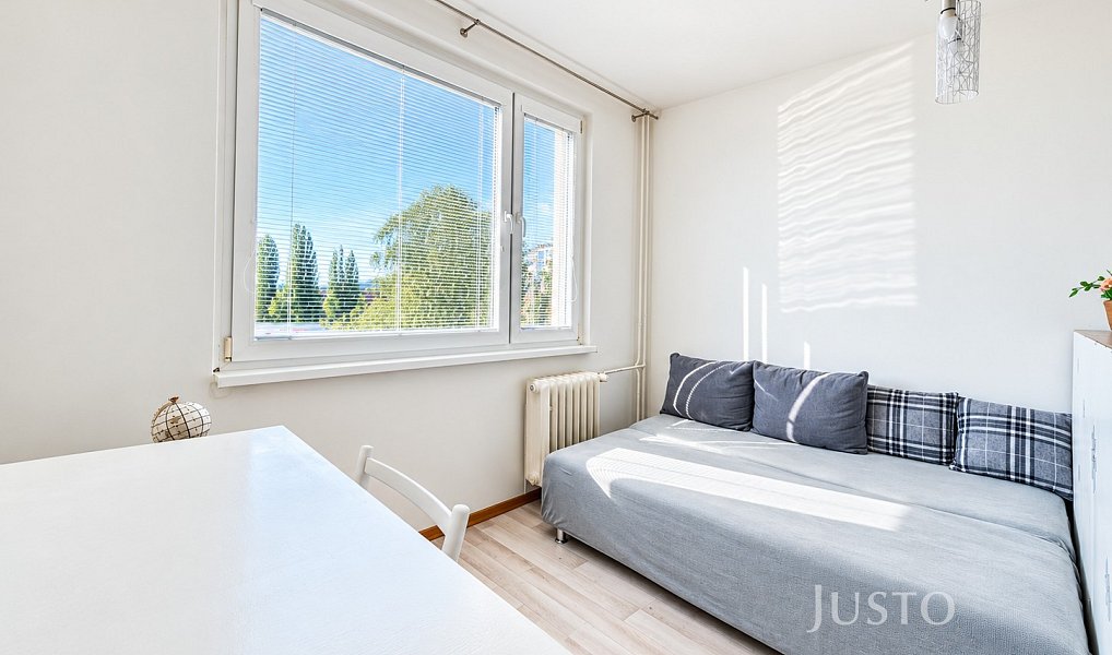 Prodej bytu 1+kk 20 m², Ústí nad Labem – náhled fotky 4