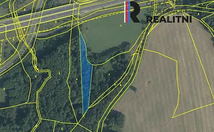 Prodej lesa 3 358 m², Březová - Rudolec, okres Sokolov