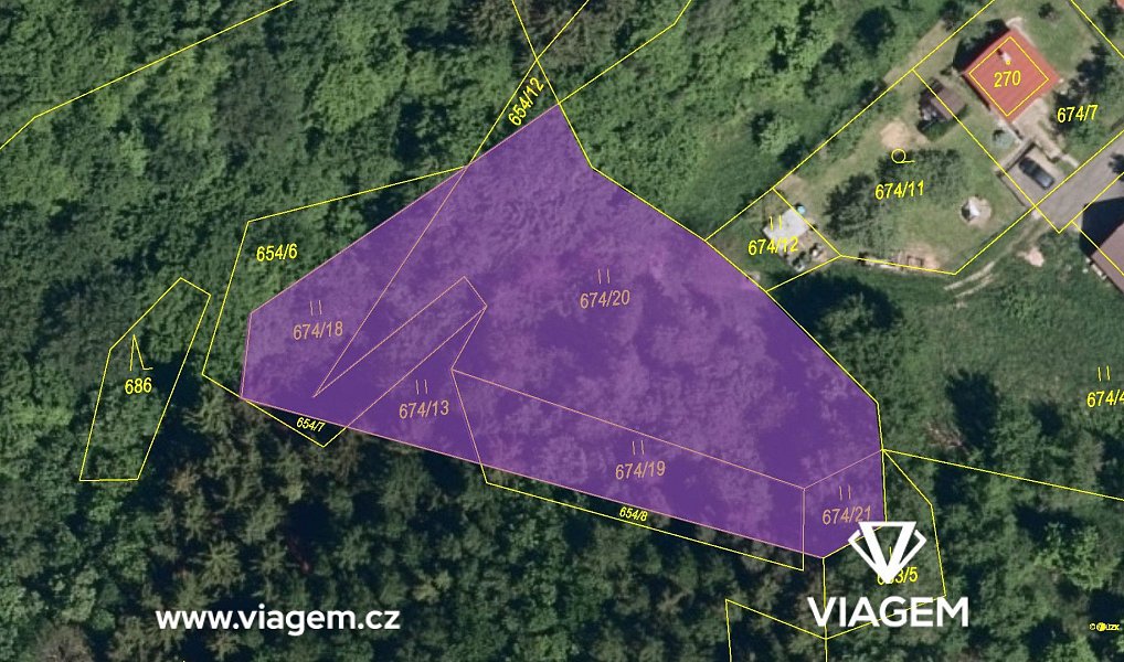 Prodej lesa 2 034 m², Podkopná Lhota – náhled fotky 4
