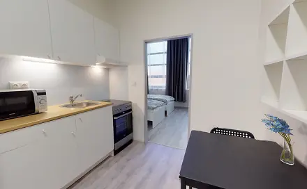 Pronájem bytu 1+1 28 m², Hybešova, Brno - Staré Brno