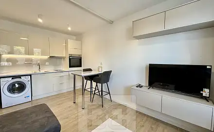 Pronájem bytu 1+kk 30 m², Ševcovská, Zlín