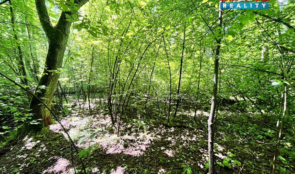 Prodej vodní plochy 3 255 m², Skalice u České Lípy – náhled fotky 20