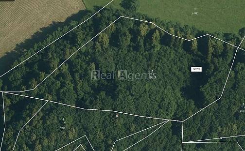 Prodej lesa 13 092 m², Nový Jičín