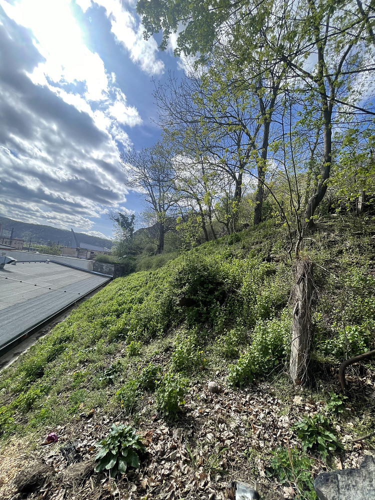 Prodej komerčního pozemku 448 m² – fotografie 3