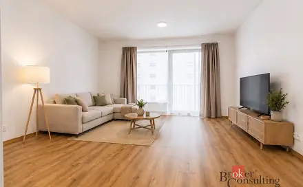 Pronájem bytu 1+kk 47 m², Železná, Plzeň - Jižní Předměstí
