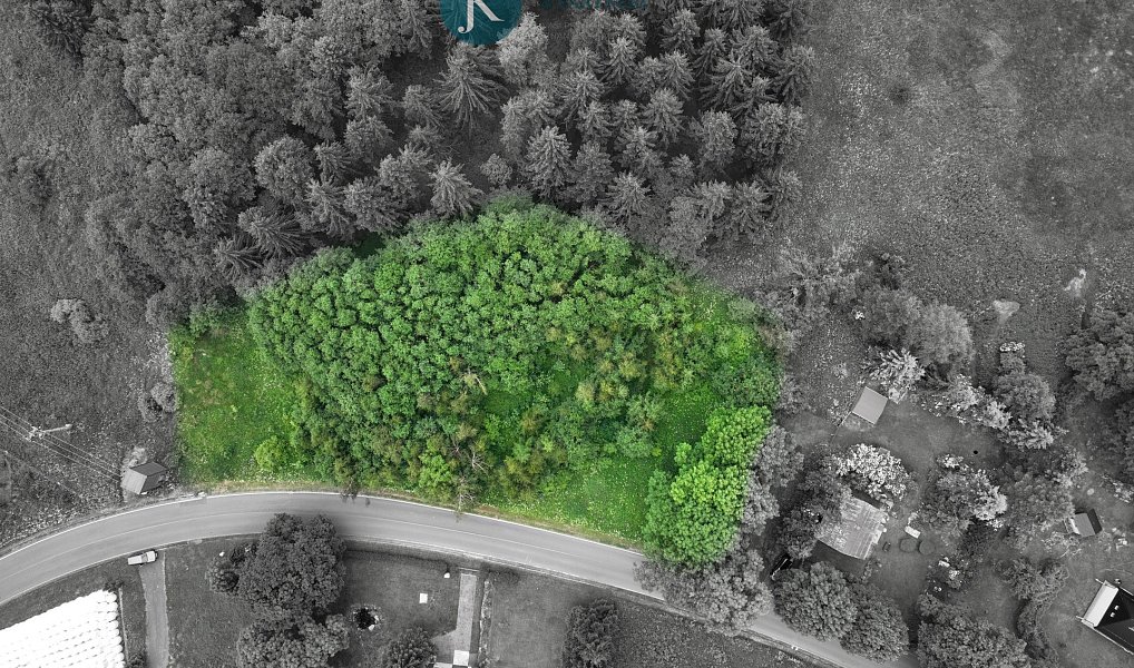 Prodej komerčního pozemku 4 072 m², Nová Ves v Horách – náhled fotky 11