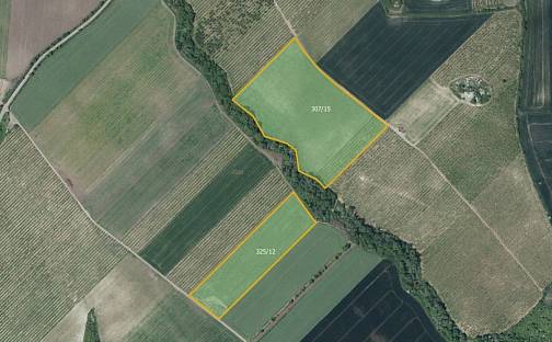 Prodej pole 133 318 m², Želkovice, okres Louny