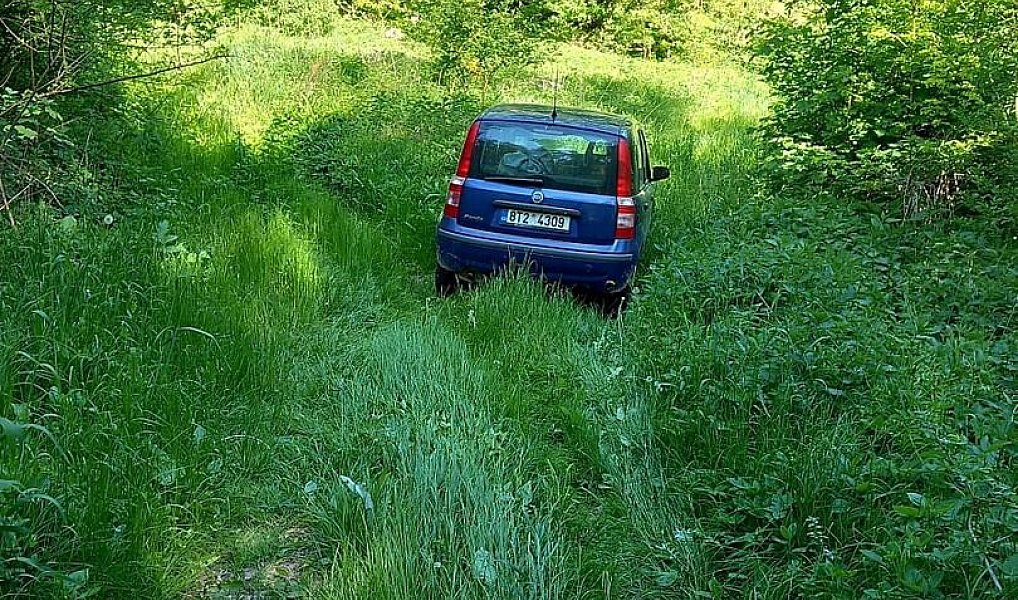 Prodej lesa 6 415 m², Diváky – náhled fotky 6
