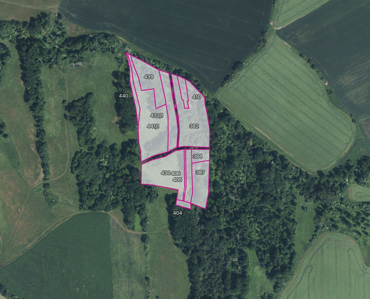 Prodej lesa 18 766 m²
