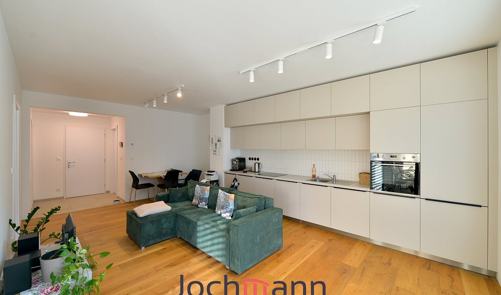Pronájem bytu 2+kk 55 m², Boršov nad Vltavou – náhled fotky 2