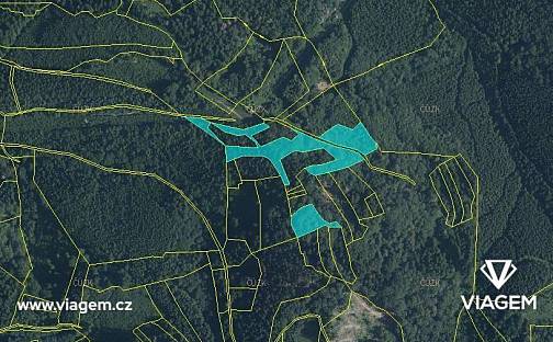 Prodej lesa 1 920 m², Janová, okres Vsetín