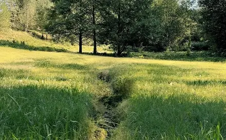 Prodej pozemku 6 838 m², Výprachtice, okres Ústí nad Orlicí