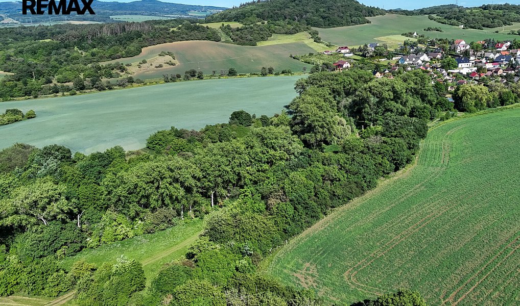 Prodej lesa 5 841 m², Skršín – náhled fotky 12
