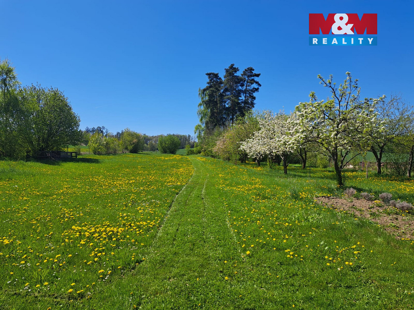 Prodej stavebního pozemku 4 705 m² – fotografie 2