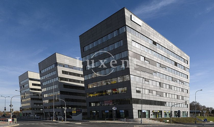 Pronájem kanceláře 300 m²