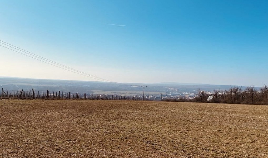 Prodej zahrady 7 000 m², Dobšice – náhled fotky 5