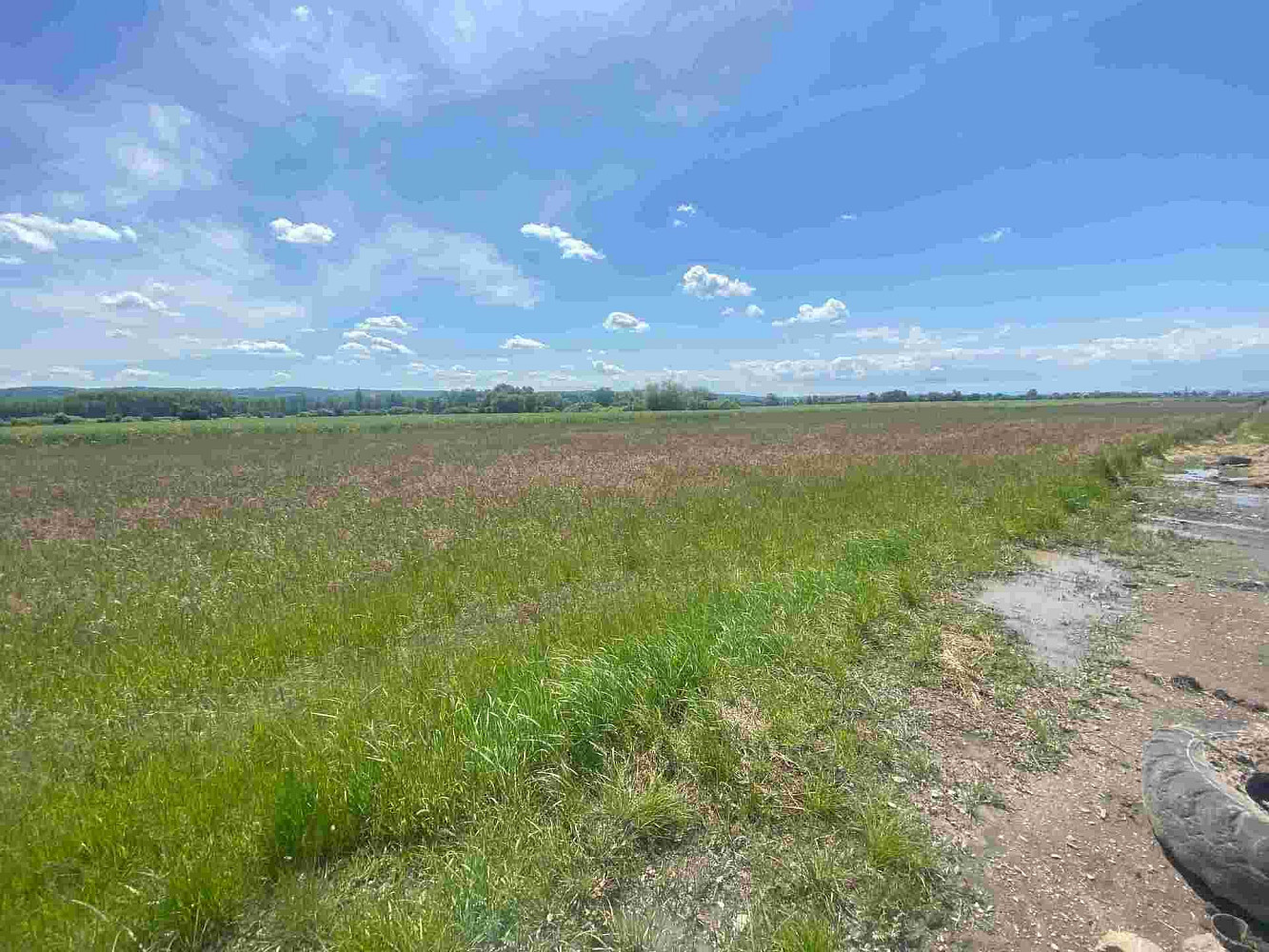 Prodej pozemku 2 873 m² – fotografie 4